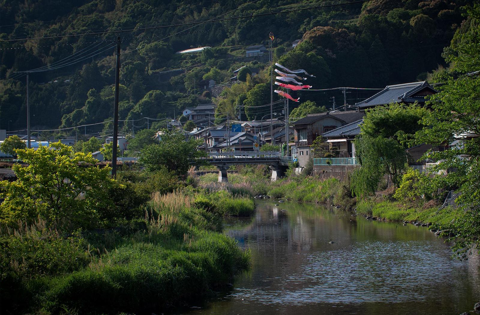 koinobori_miyamae_200512