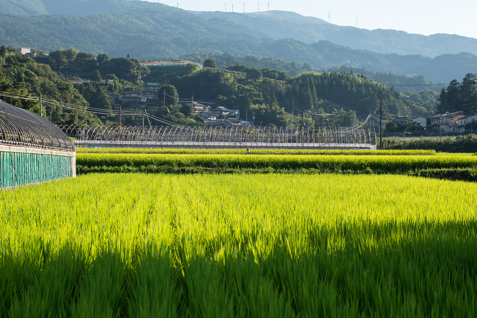 佐那河内村