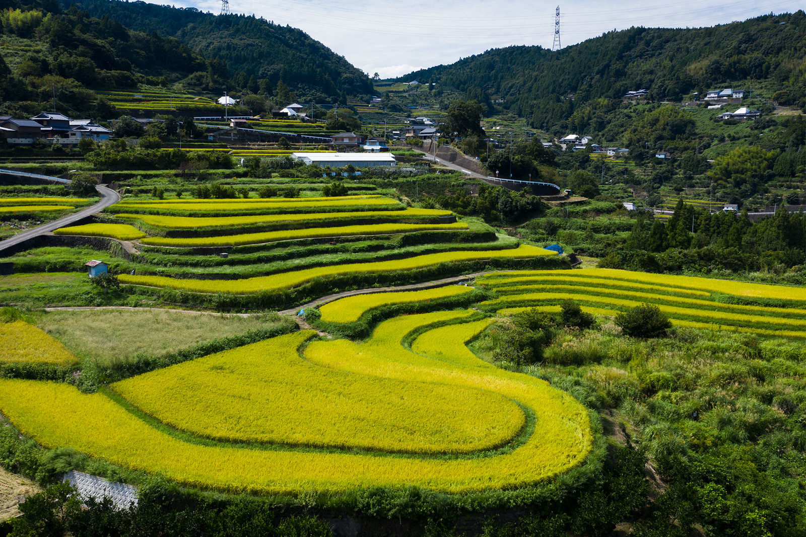 府能の棚田