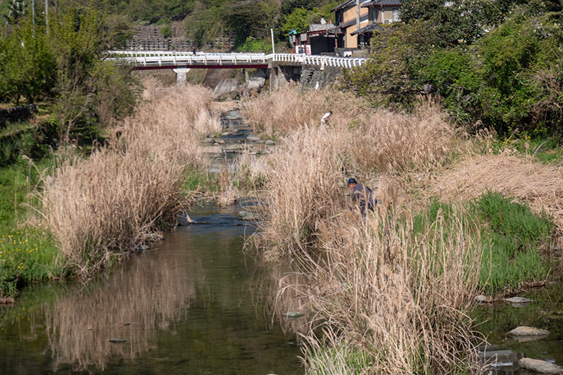 佐那河内村の河川清掃