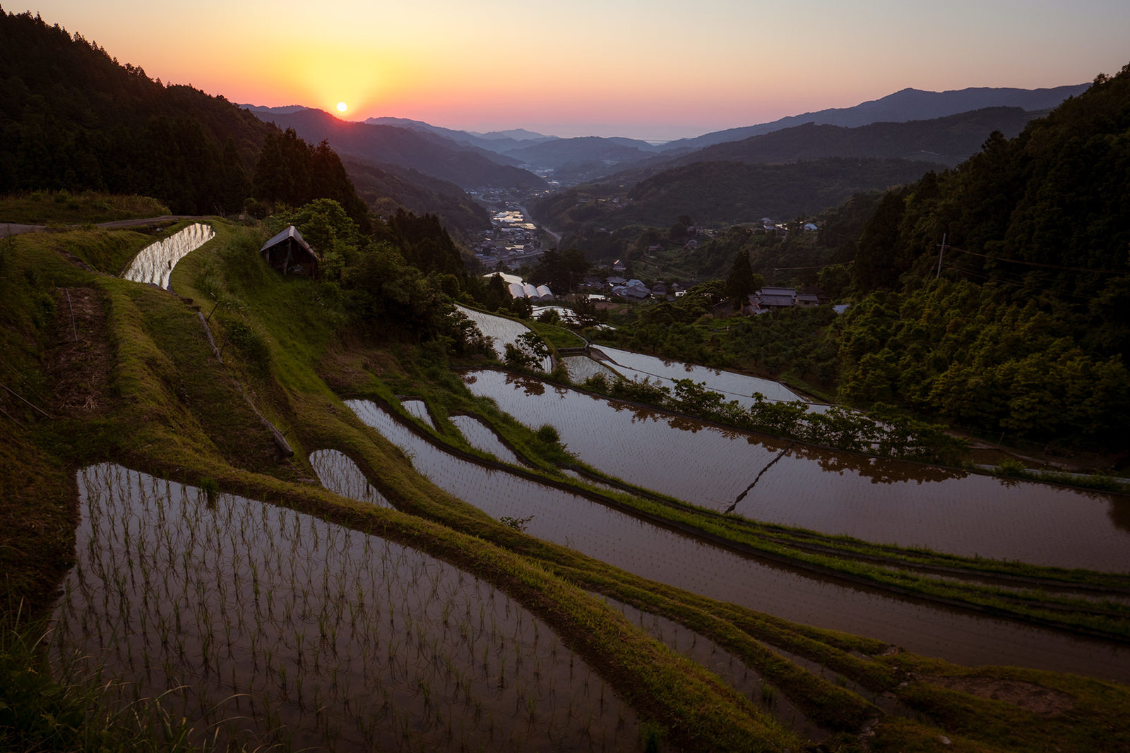 早朝の棚田