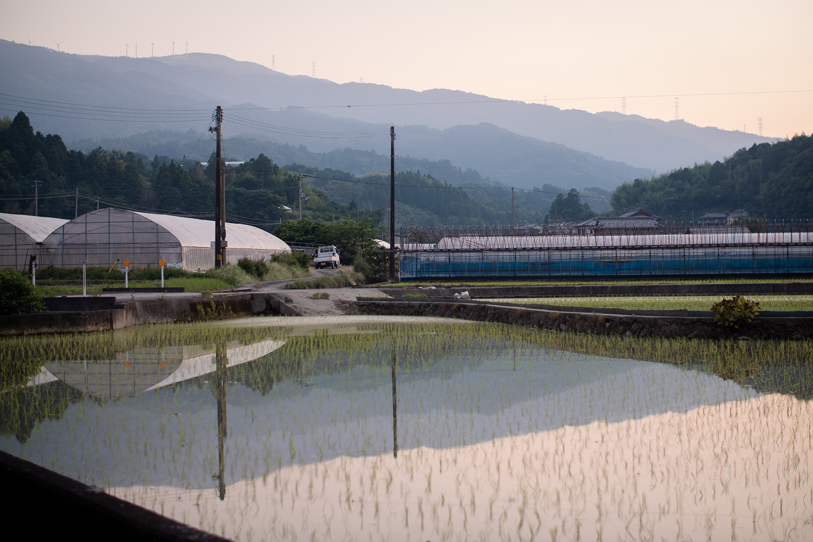 佐那河内村の水田と山々