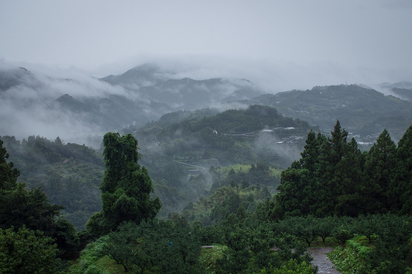 雲に包まれる村