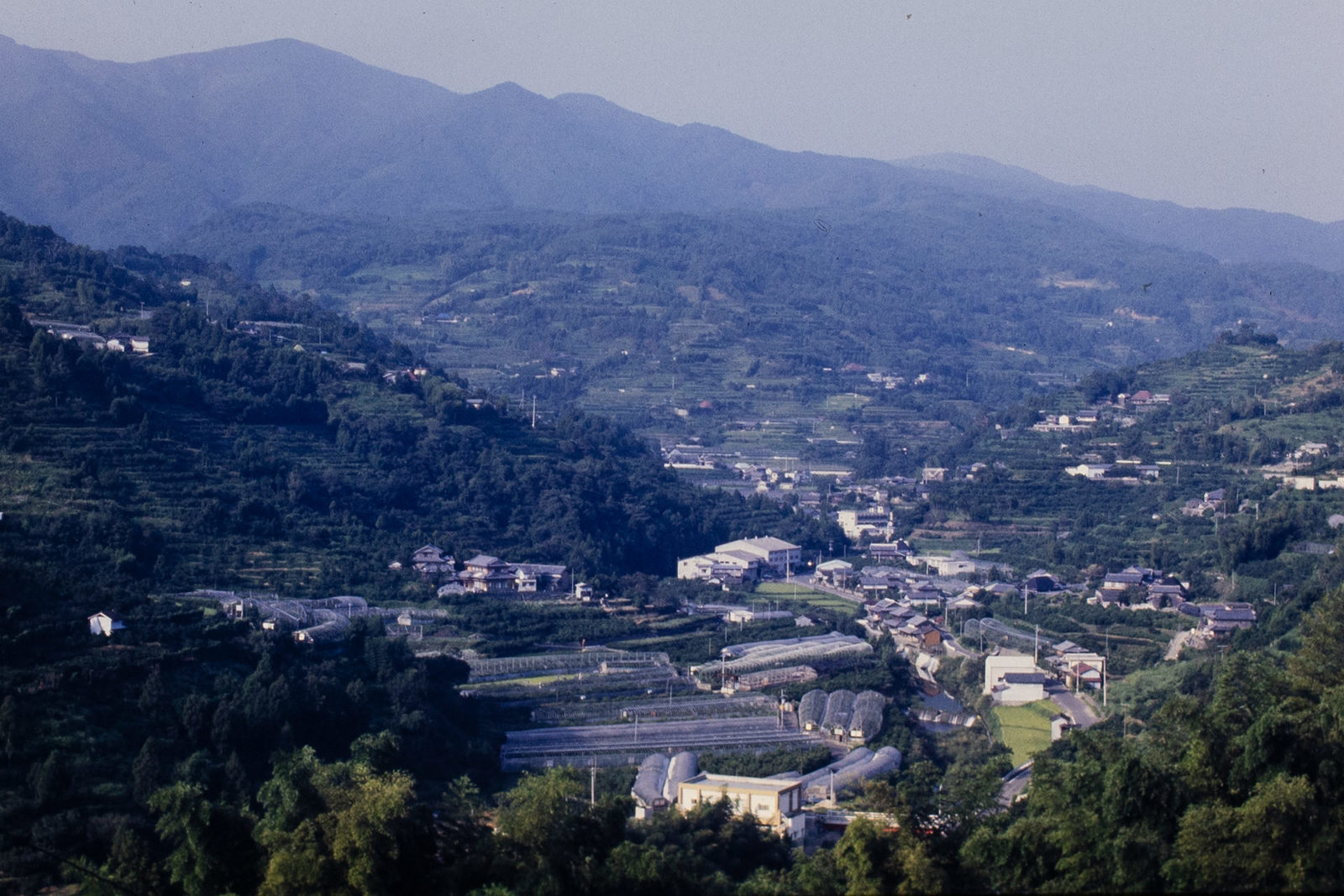 昭和の嵯峨地区