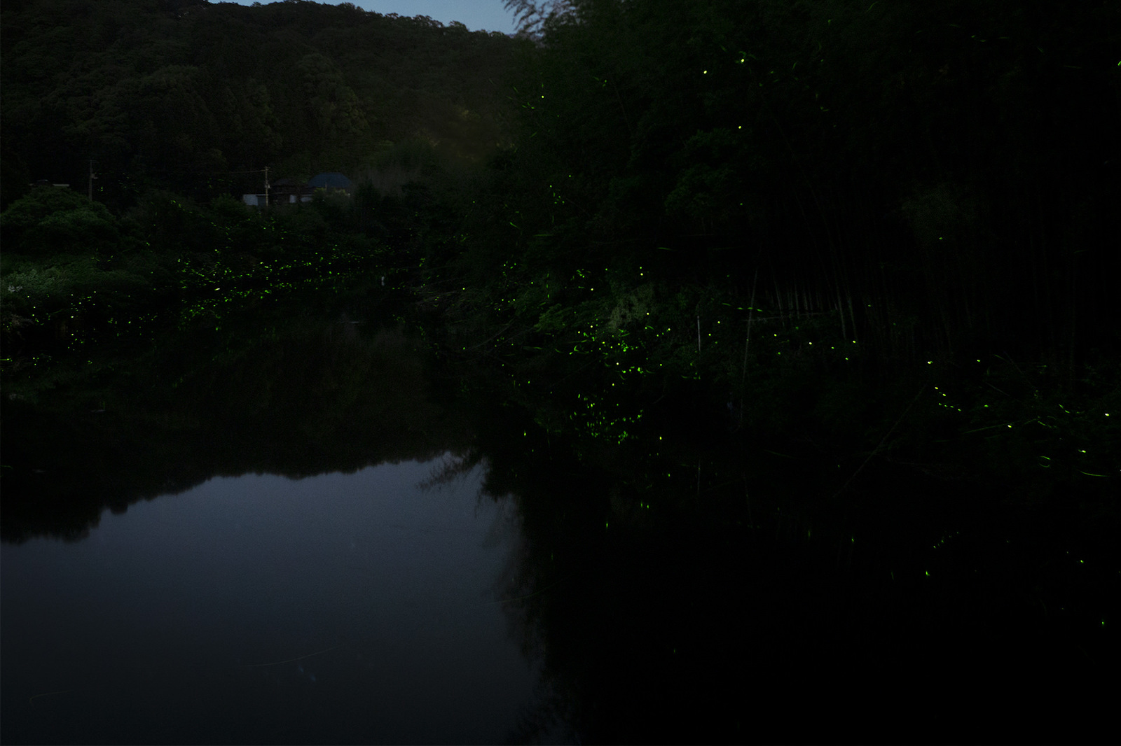 梅雨入り前の絶景