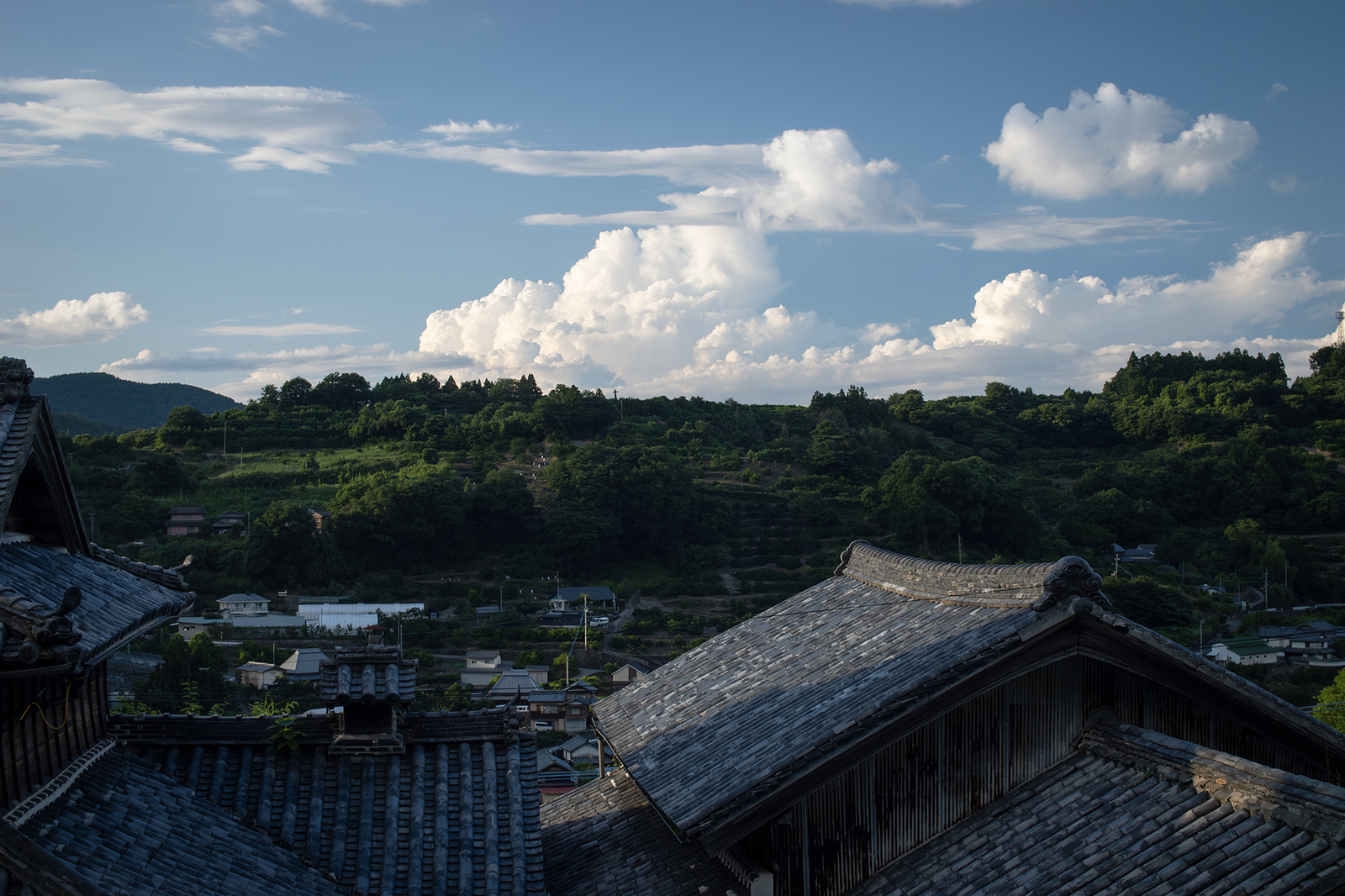 谷の奥の入道雲