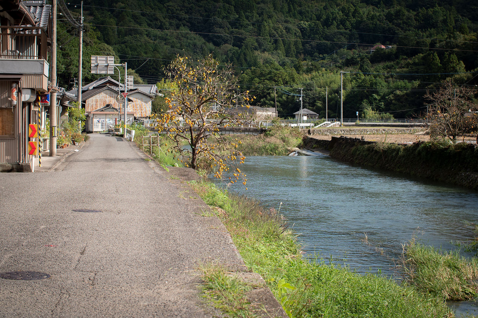 柿実る宮前地区