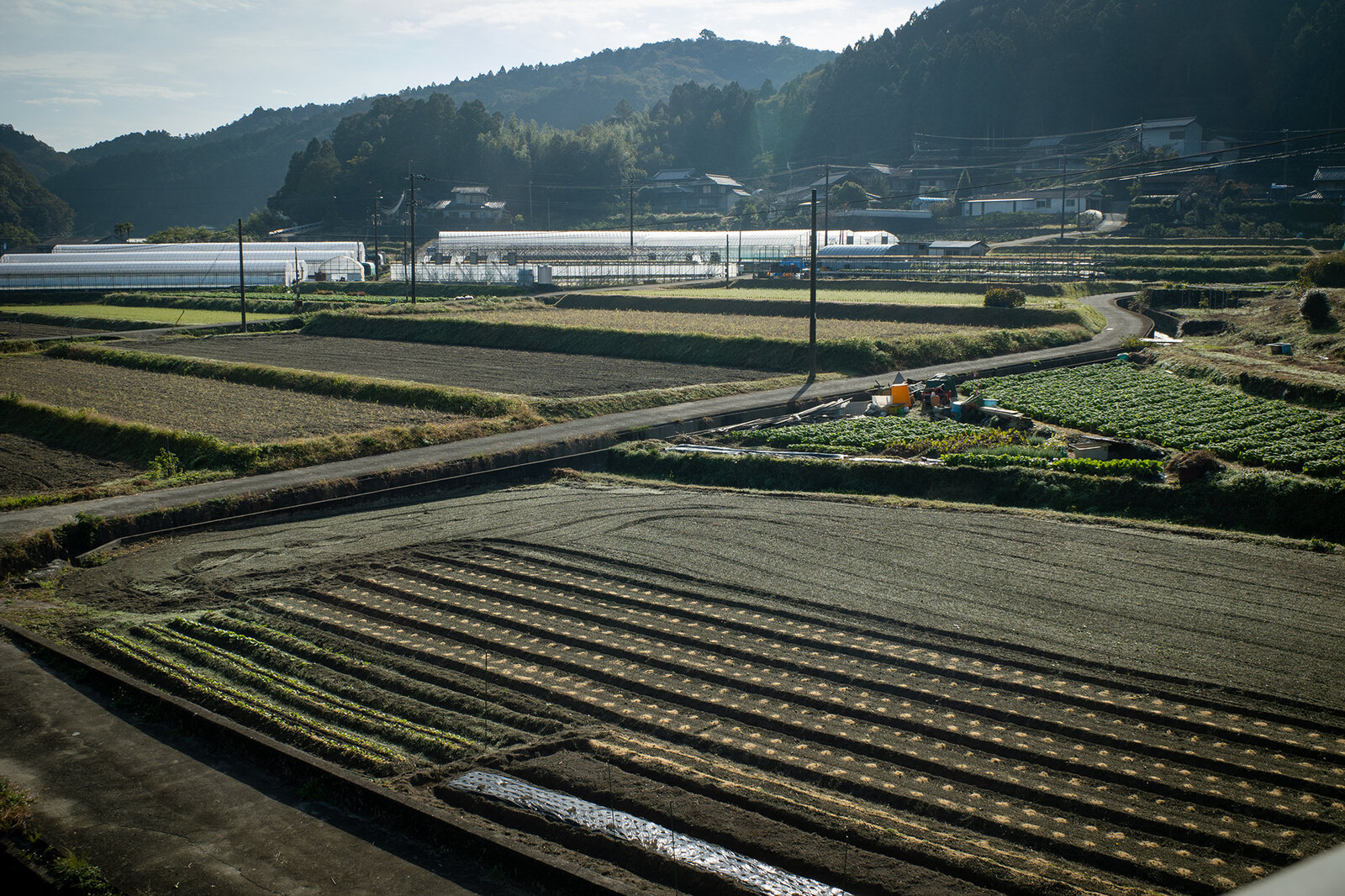 端境期の菅沢地区