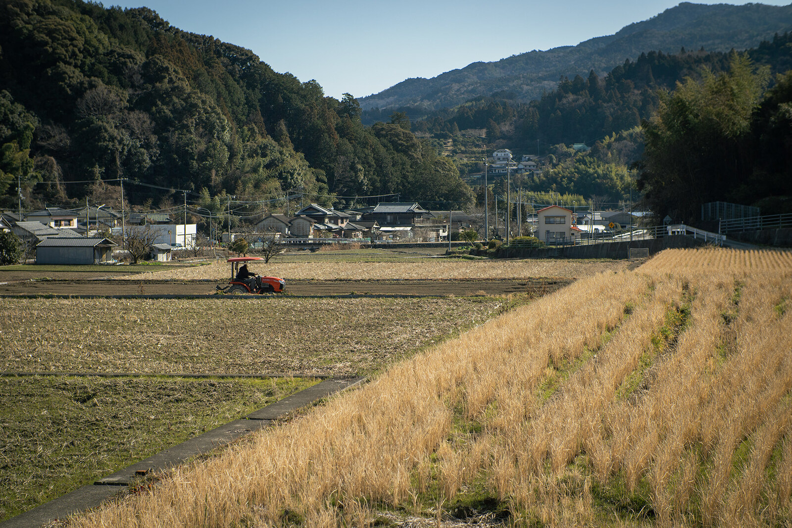 冬の宮前地区