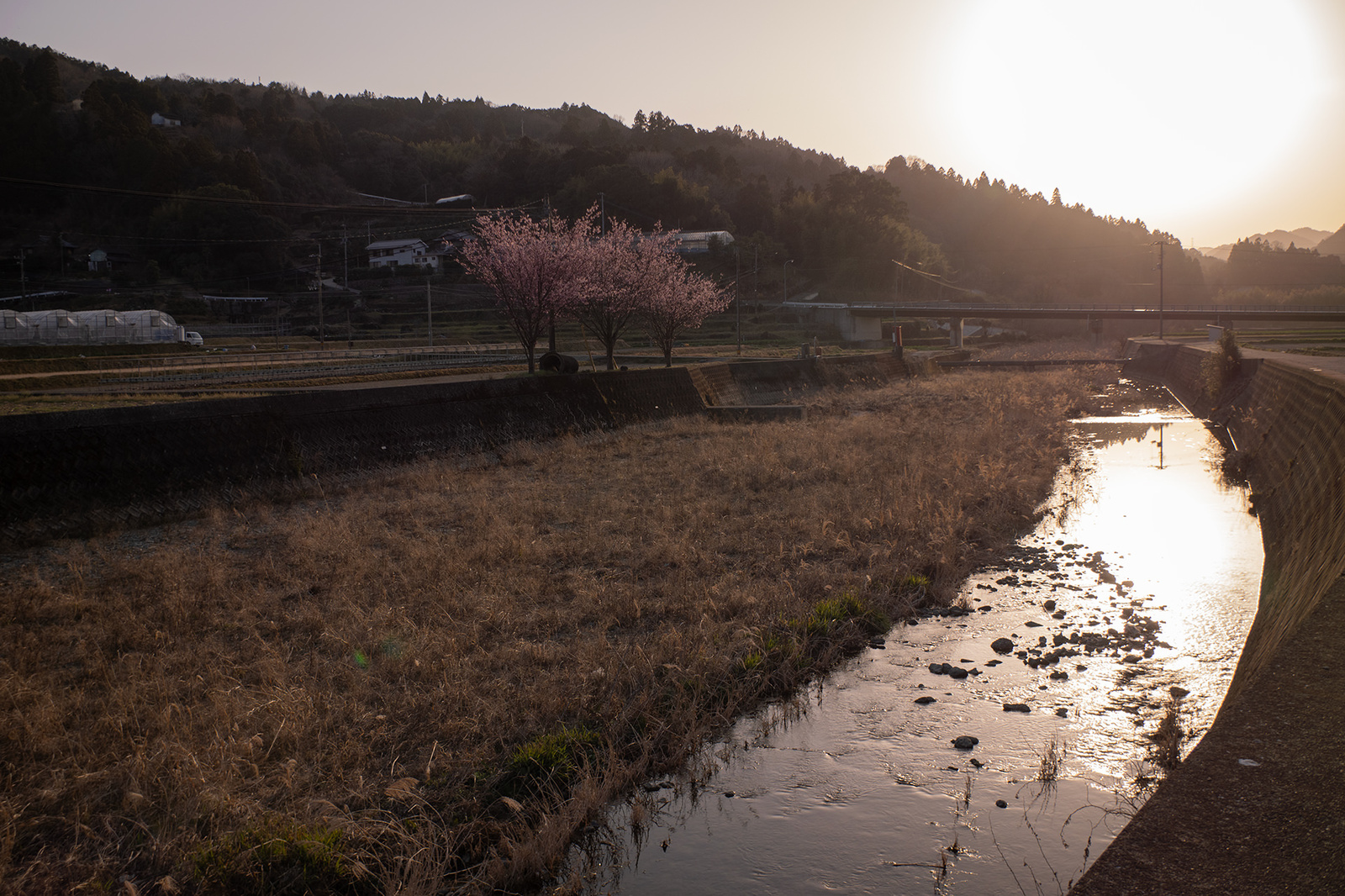 春の夕方の菅沢地区