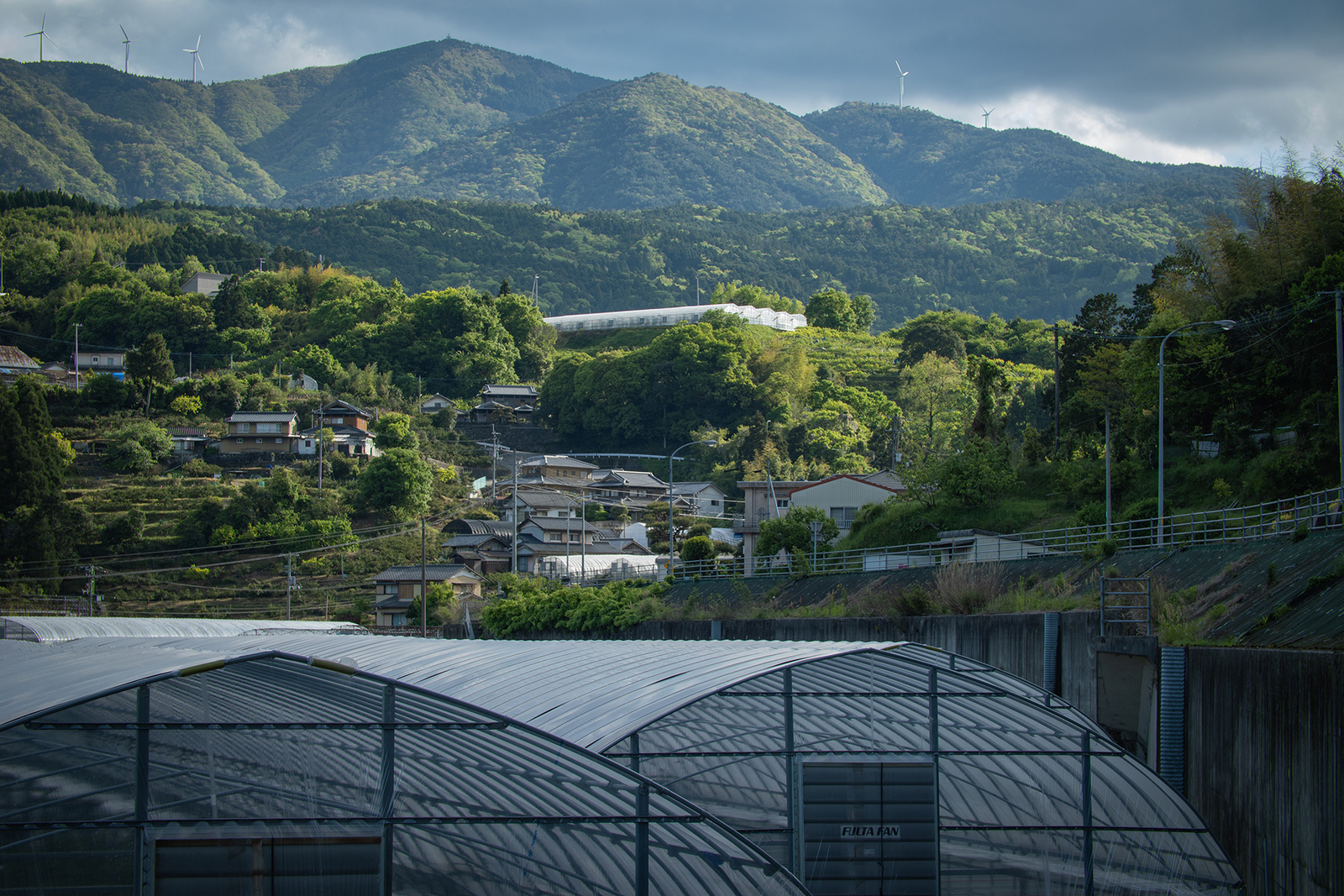 深緑に染まる村