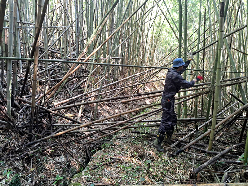 用水路掃除