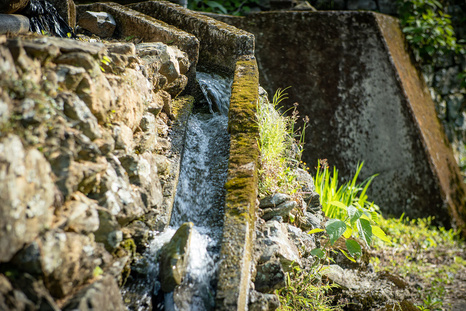 村をめぐる山の湧き水