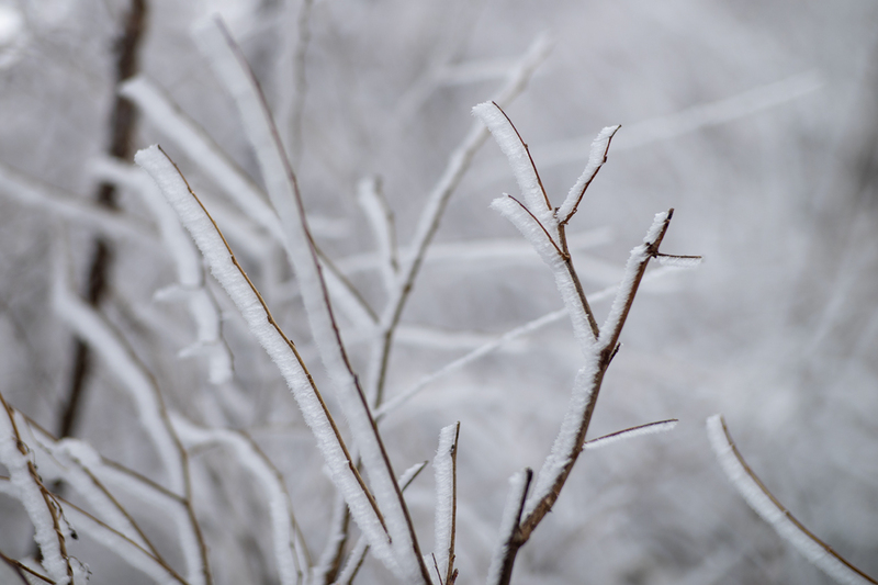 旭ヶ丸野 朝の雪景色