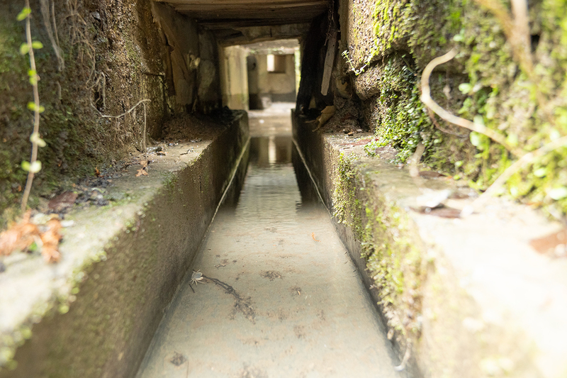 上嵯峨の水路整備