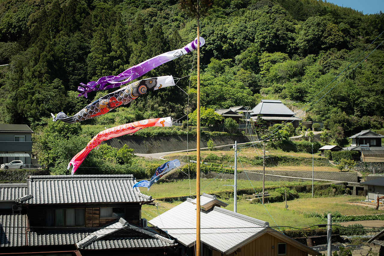 仁井田地区の鯉のぼり