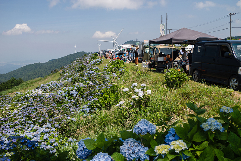 令和6年あじさい祭り記録