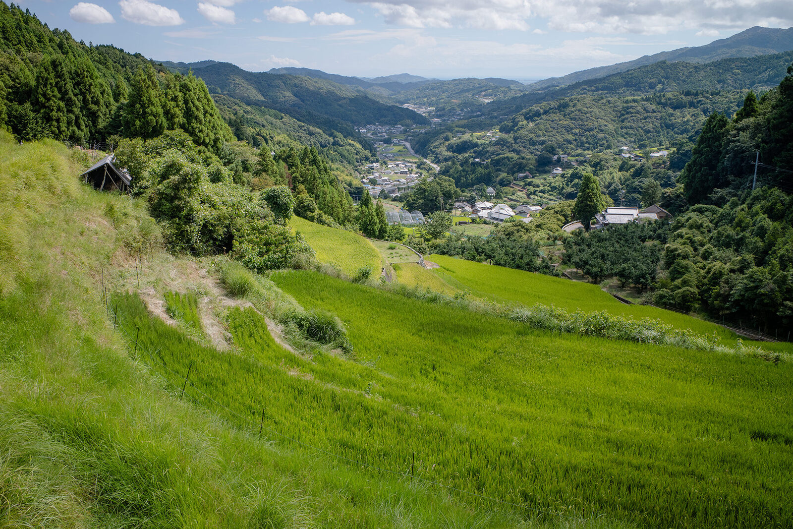 佐那河内村2024