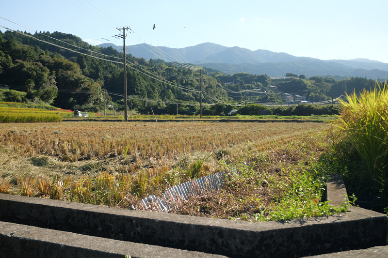 秋晴れの下の田園風景