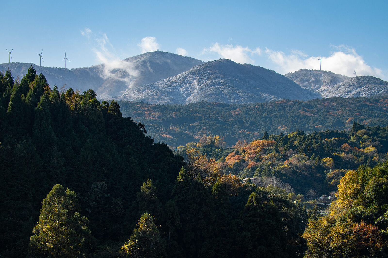 紅葉と雪化粧