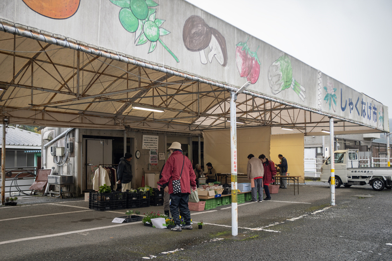 しゃくなげ市