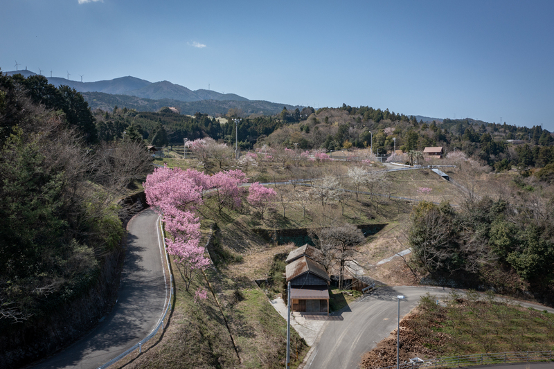 DJI_0362