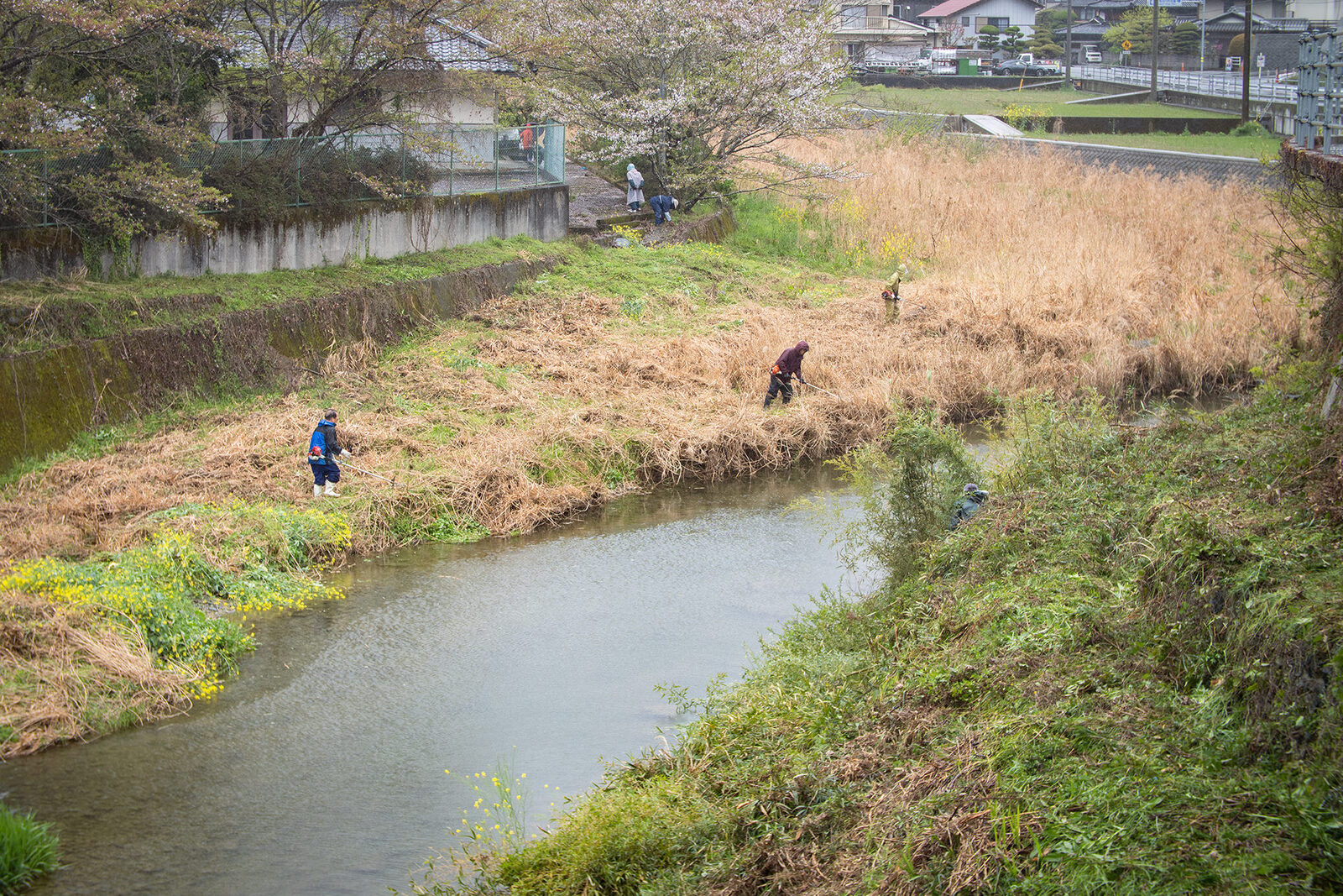 美しくなる園瀬川