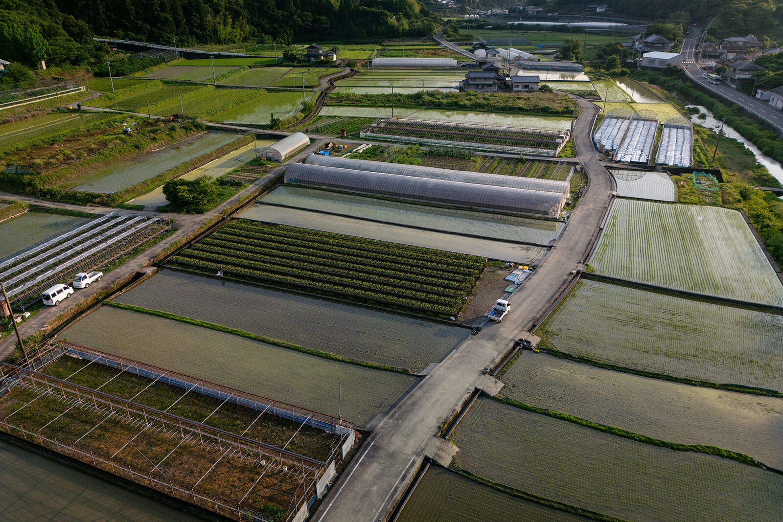 田野々の田園風景