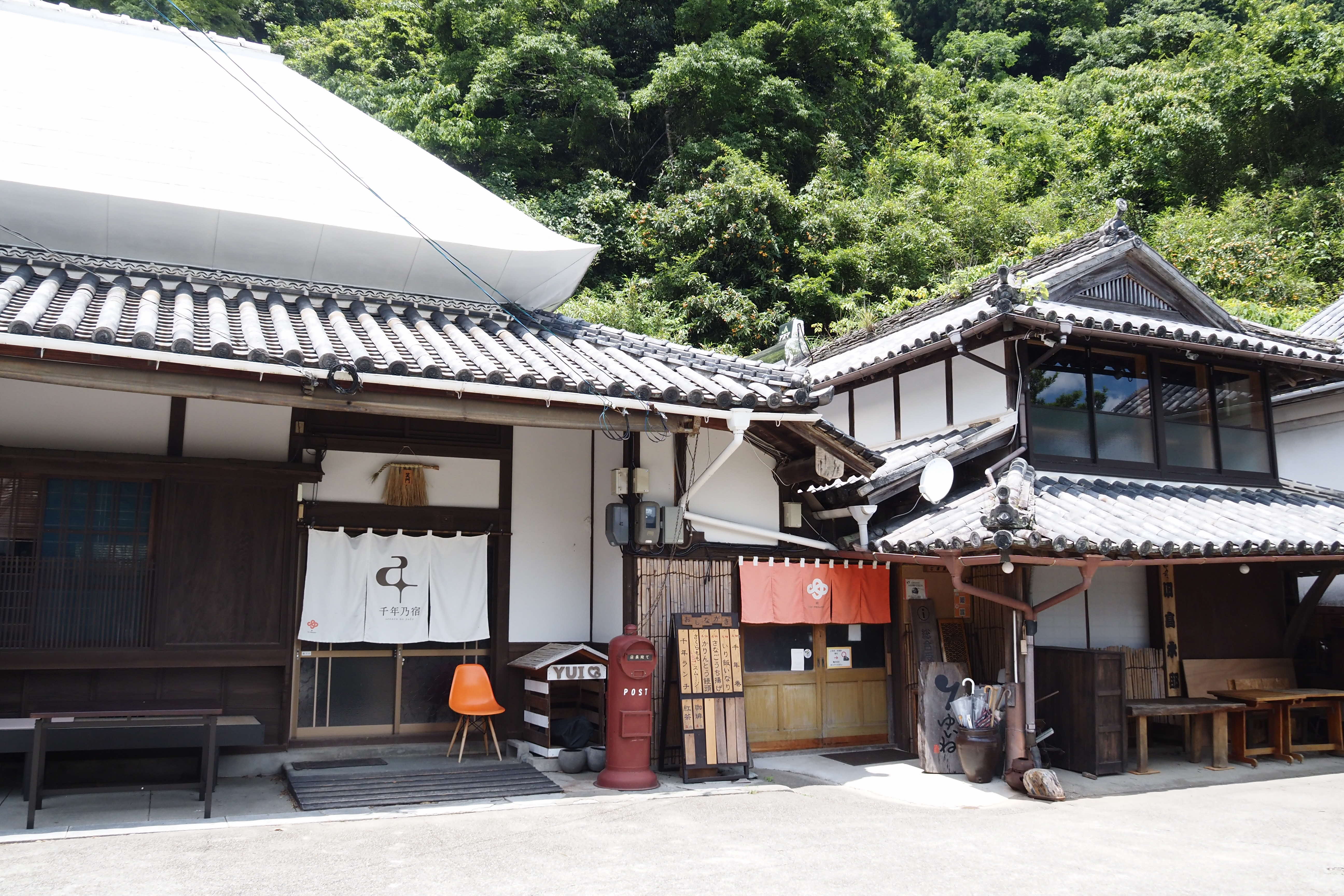 「結プロジェクト」の立ち上げと永住の決断