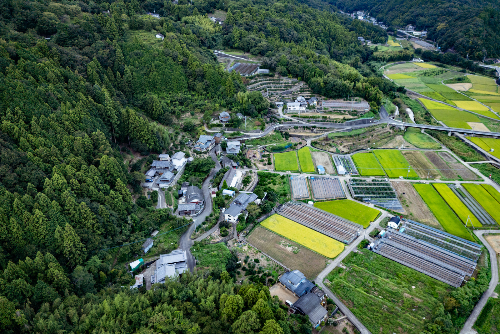 佐那河内村 菅沢地区