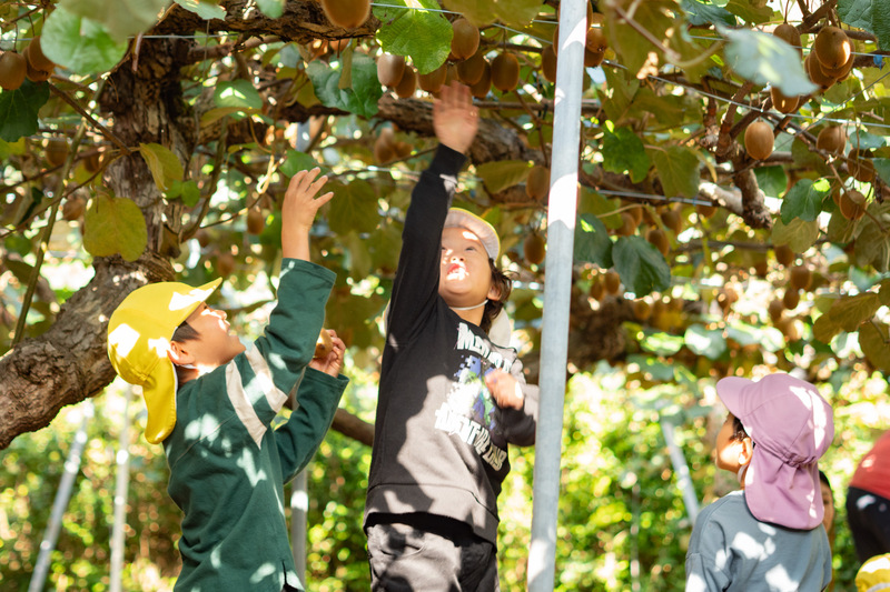 佐那河内キウイ果樹オーナー園