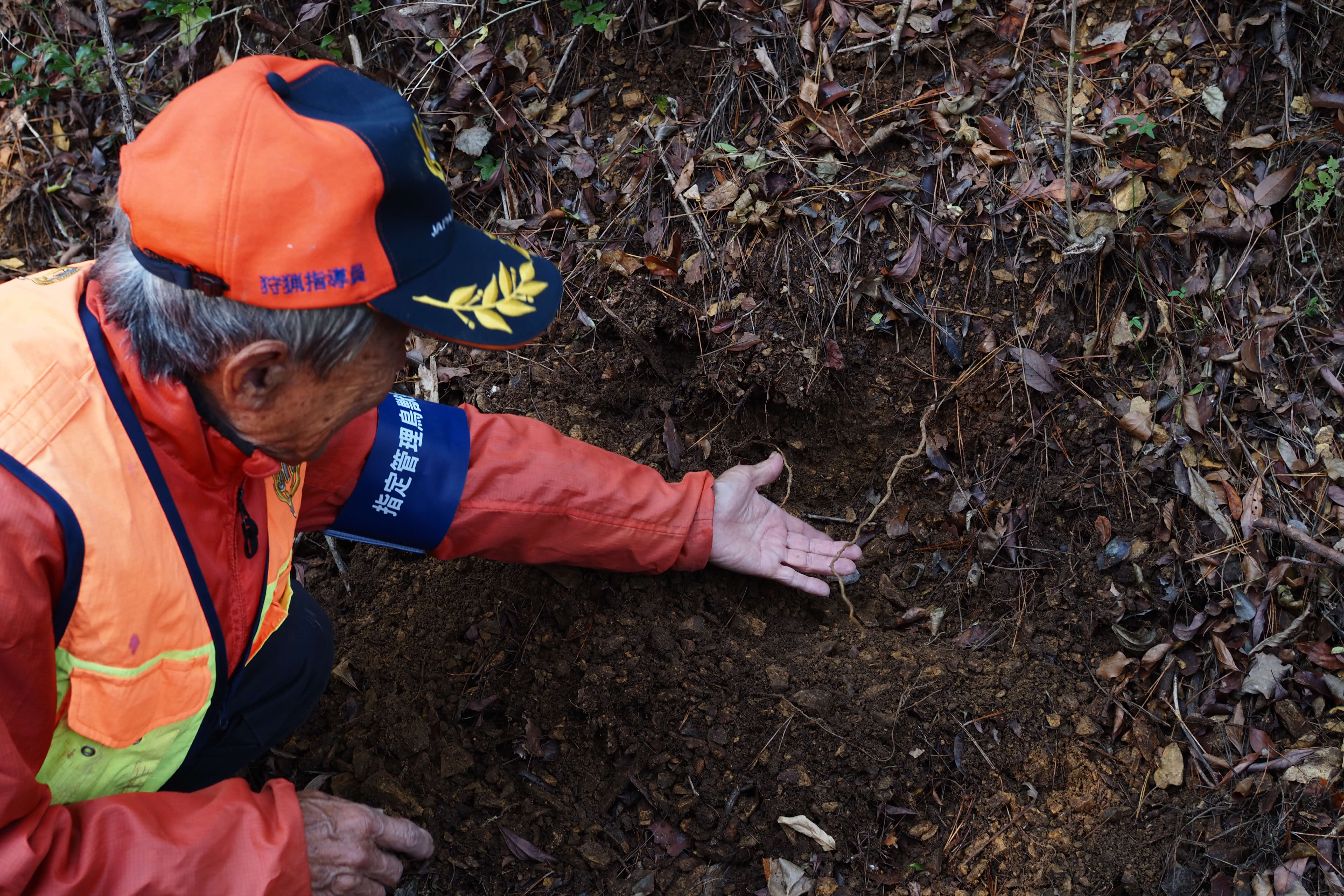野生鳥獣の昔と今