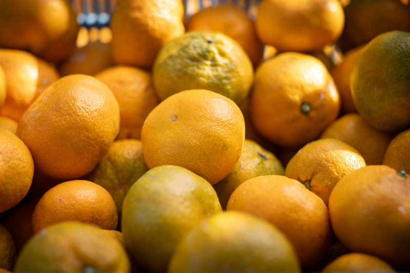 佐那河内村みかん