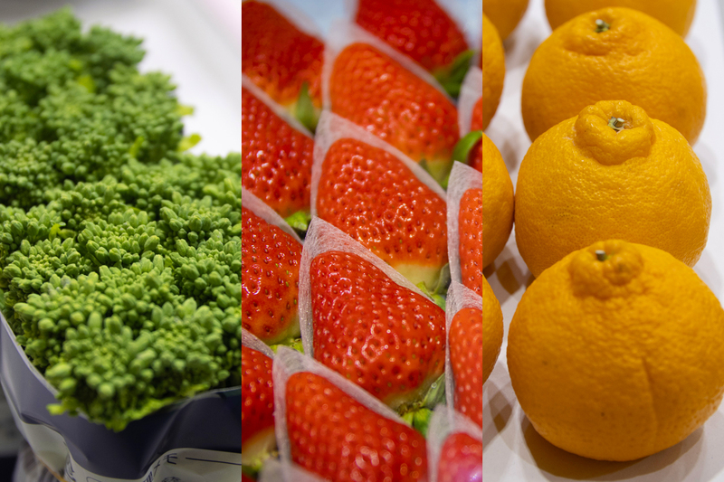 佐那河内ふれあいまつり2026