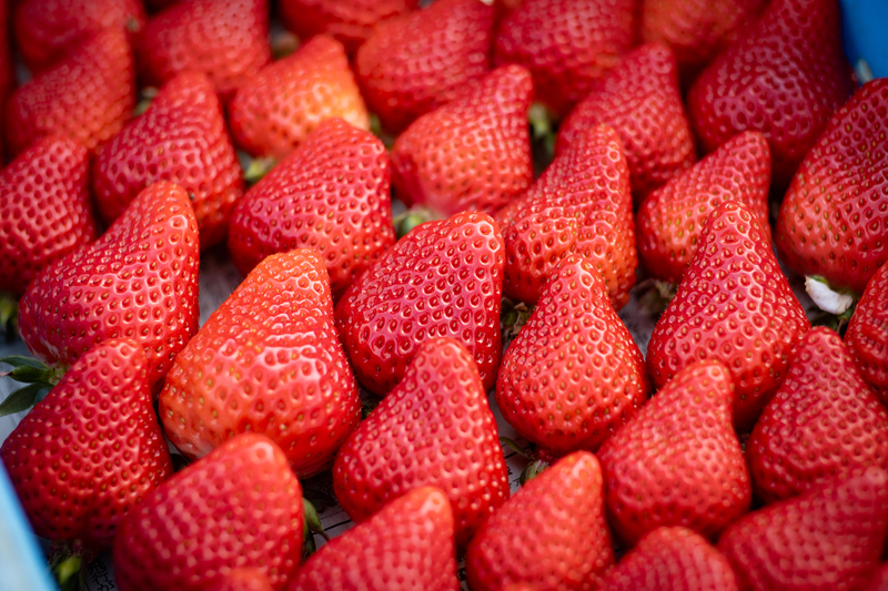 さくらももいちご