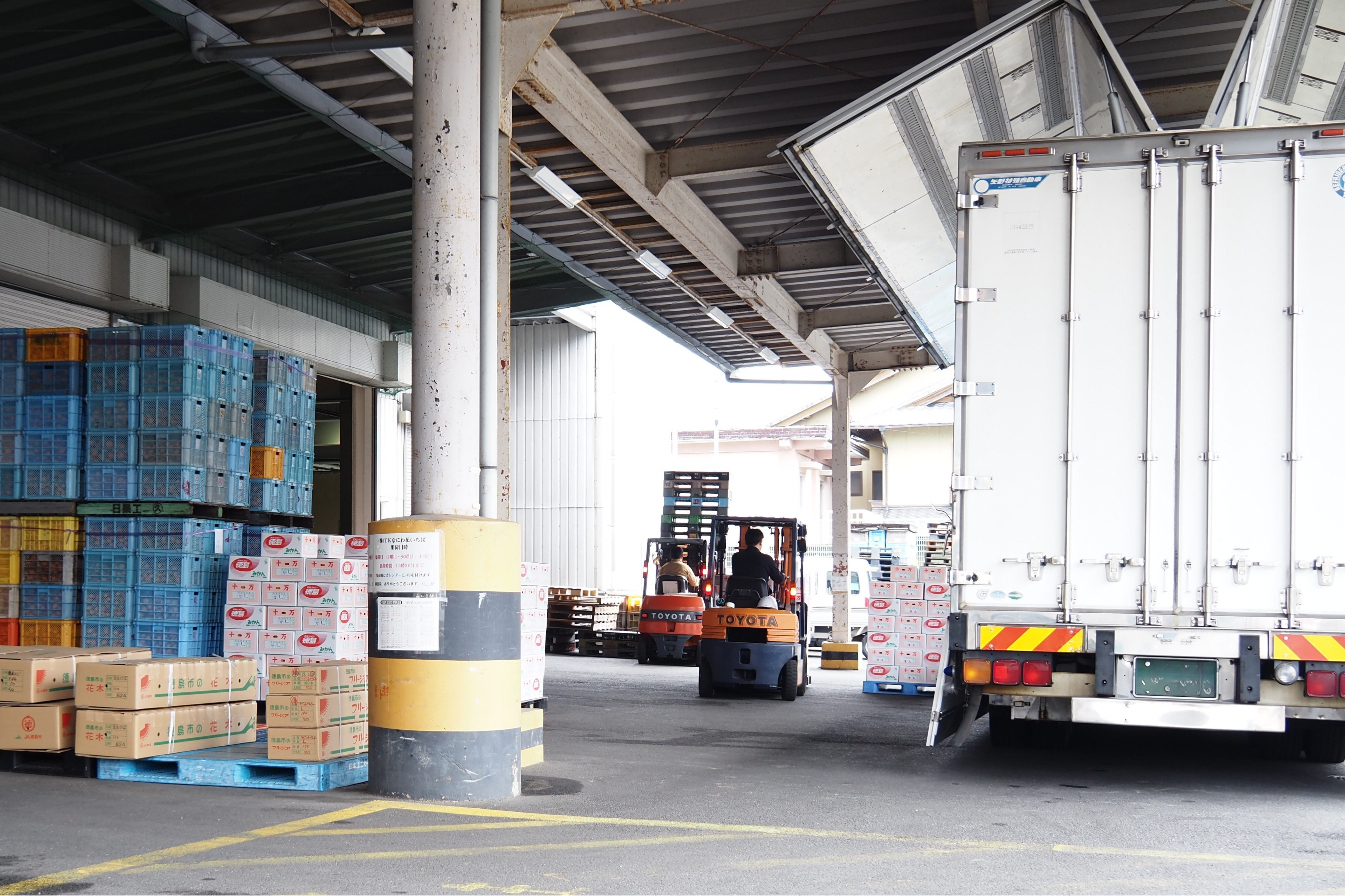 全国へ届ける、冬の実り