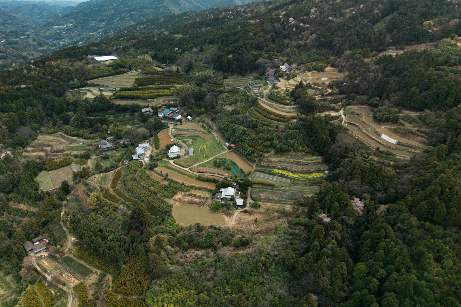 佐那河内村和協地区