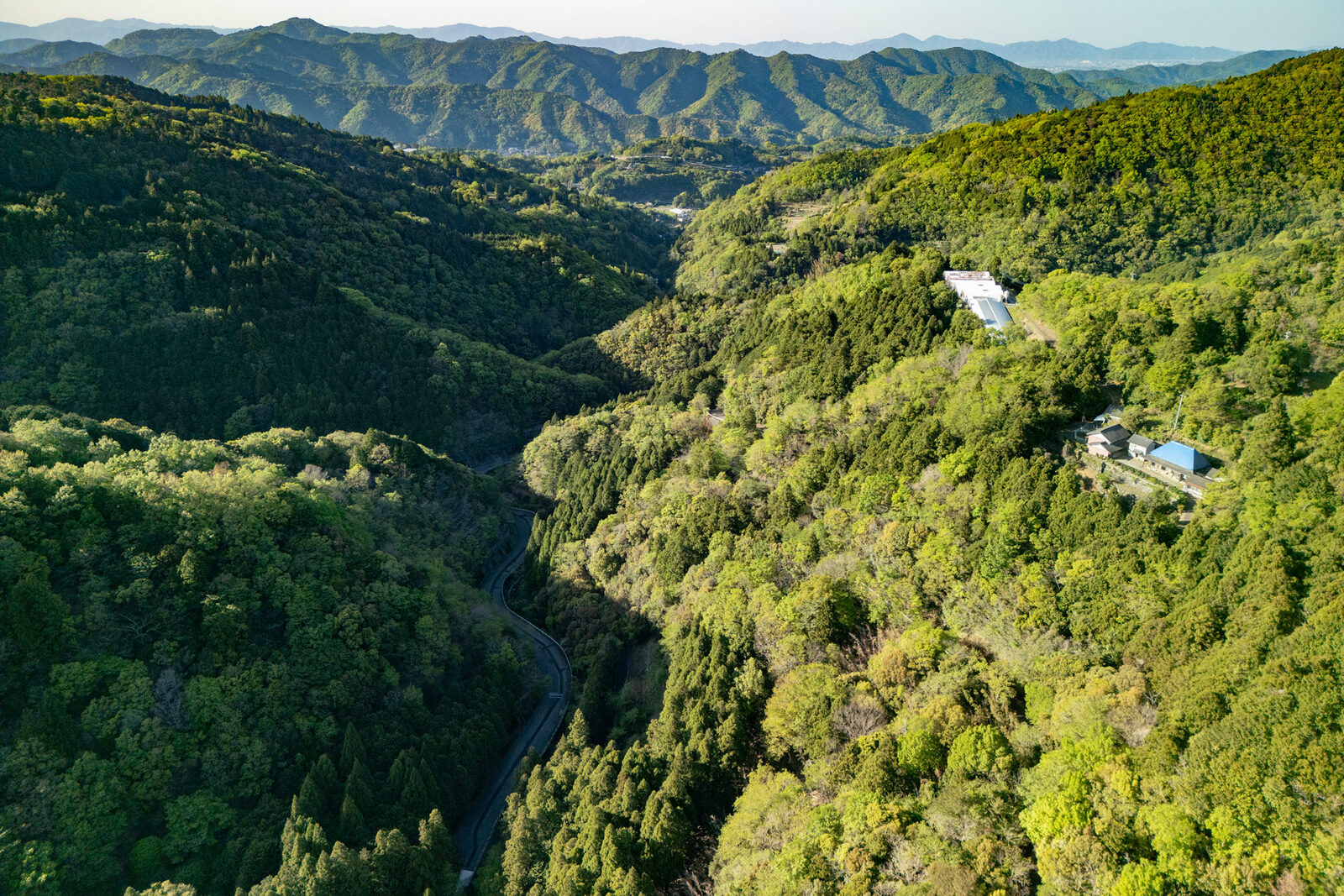 新緑に染まる佐那河内