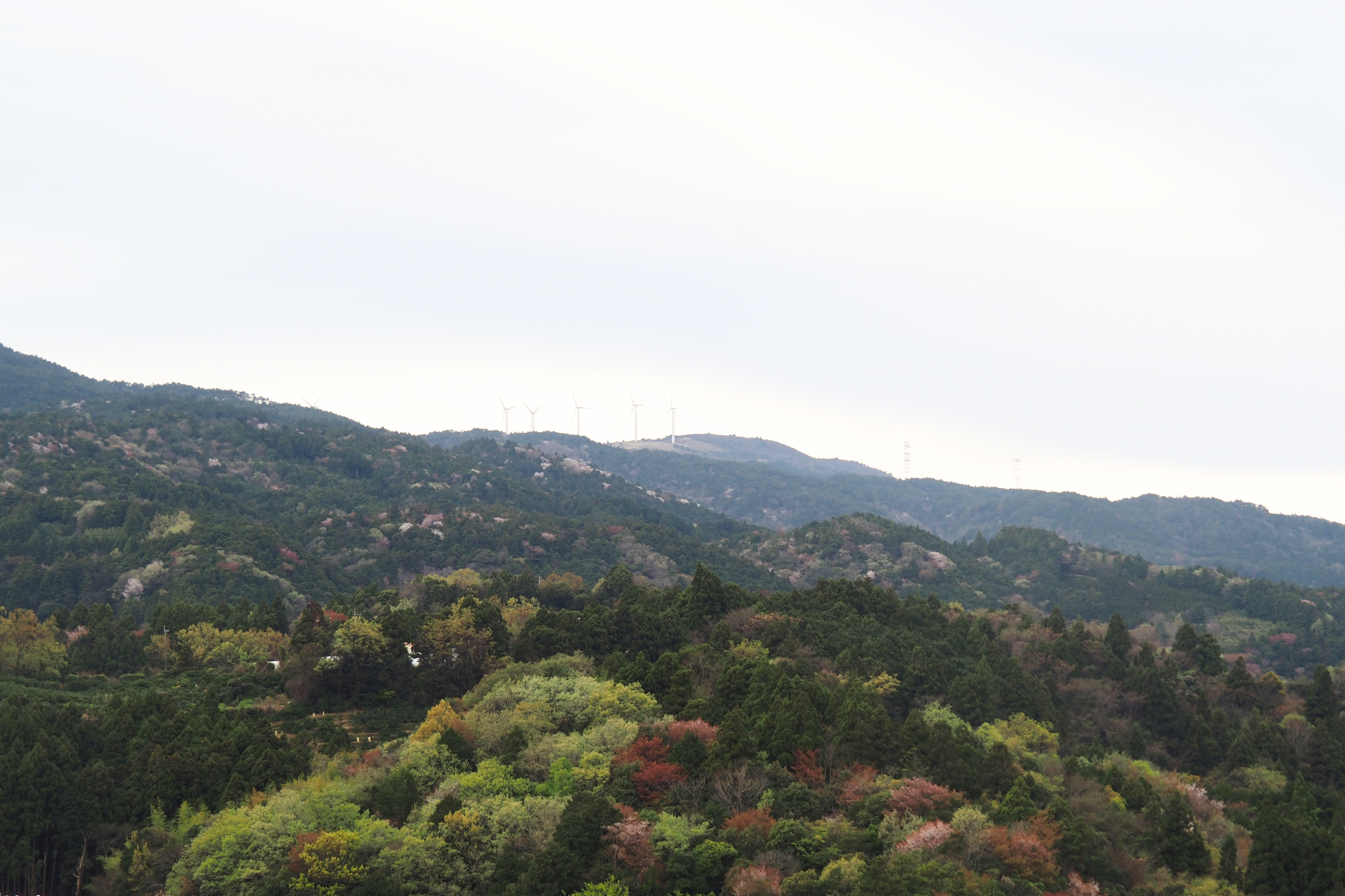佐那河内の風景