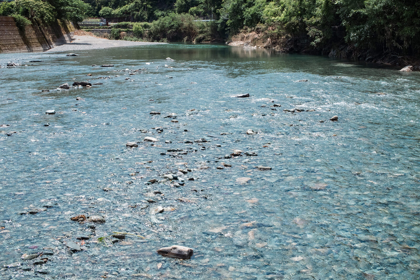 夏の園瀬川