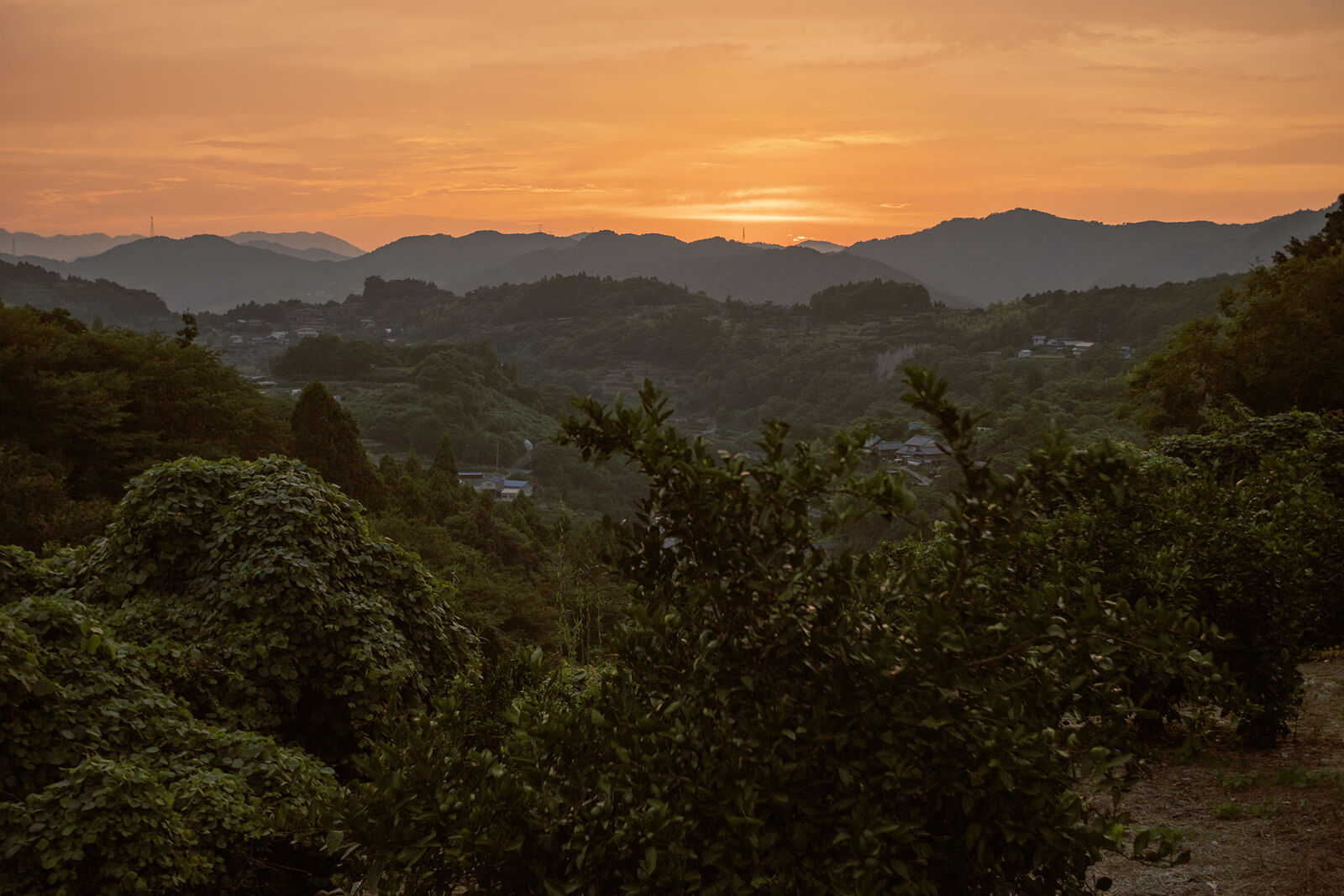 佐那河内村 夏の夕暮れ