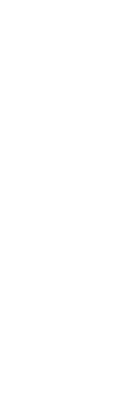 駆けあがれ、風の谷!